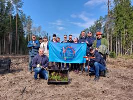 Рэспубліканская акцыя "Тыдзень лесу" Рэспубліканская акцыя "Тыдзень лесу"